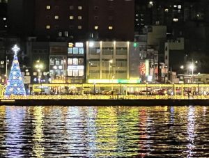 【幽湖閒話】基港夜景∕李伯元