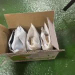 海巡署在年關前 成功攔截電子煙