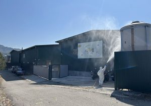 豐原蛋雞場爆發禽流感個案 中市府成立前進指揮所 消毒撲殺