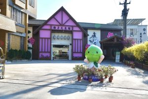 錯過阿里山雪景別遺憾 梅山公園「平地雪」白梅盛開迎遊客