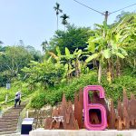 大坑步道特色滿點 登頂保證龍馬精神