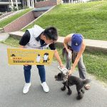 高市榮獲全國動保評鑑優等 邁向友善動物城市目標