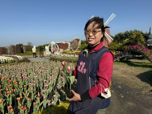 中社觀光花市鬱金香季 登場