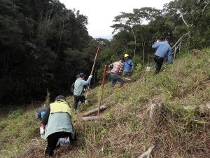 林保署南投分署植樹活動 一齊守護琴蛙棲地