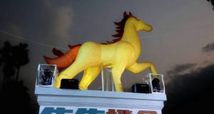 集集燈會「花馬躍光影．石虎照集集」點燈