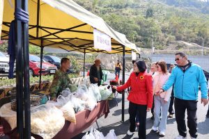 草嶺櫻花盛開 人潮湧現