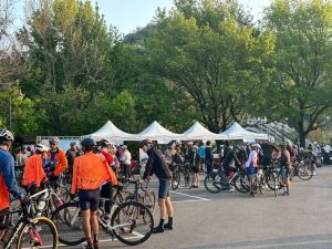 北橫櫻花季與櫻花勇士自行車活動 接力登場