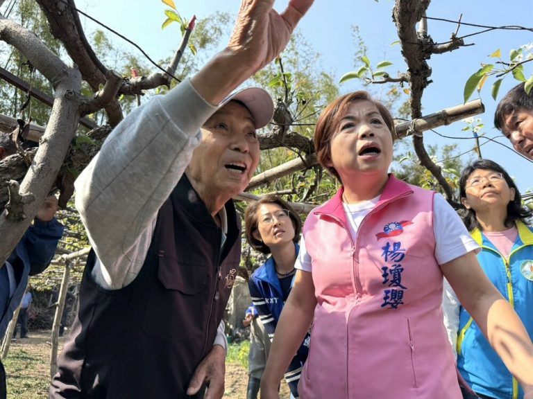 后里高接梨災損擴大 楊瓊瓔現勘