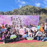 草嶺石壁櫻花季17日登場