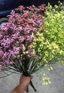 不易凋謝”水晶花”　情人節禮好選擇