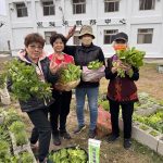 大甲農會日南綠色照顧站 「一米菜園」春節大豐收