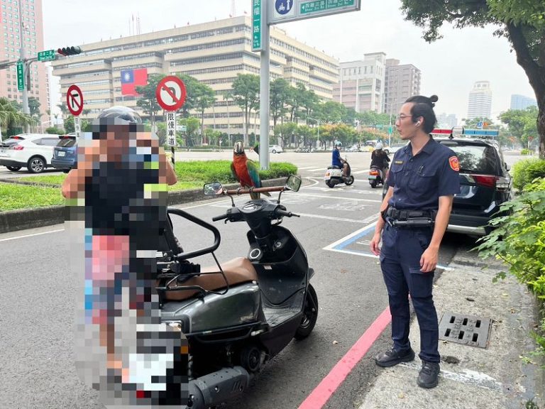 主人走失要報案？鸚鵡停派出所外高聲呼喚