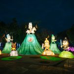 七將軍爺神助攻 民政局拍片記憶卡掉落尋回