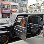 基隆地檢署查扣物 2/25公開拍賣