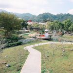 南投竹夢森活節2月27日登場 體驗竹林魅力與櫻花茶香