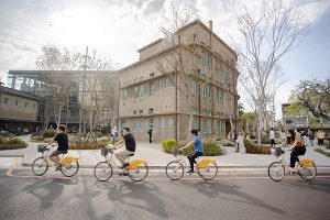 嘉市住宿人次再創新高 八年來成長37%