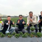 從魚池到鮮紅草莓　雲林褒忠生菜農經專區亮相迎新年