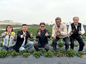 從魚池到鮮紅草莓　雲林褒忠生菜農經專區亮相迎新年