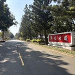 永康砲校原貌林蔭綠帶春節前開放 邀市民和退役官兵重返青春歲月