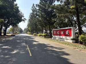 永康砲校原貌林蔭綠帶春節前開放 邀市民和退役官兵重返青春歲月