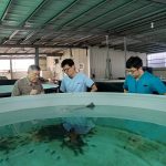 動保處錦囊妙計 防範疾病創造大豐收