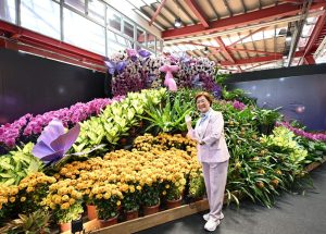 「2026花在彰化」盛大開幕！王惠美邀你走進在花城展開的時光之旅