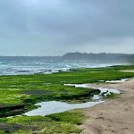 春日限定美景 走訪北海岸老梅綠石槽正綠時節