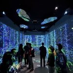 走進阿里山的時間長廊 沉浸式體驗開啟山城旅遊新想像