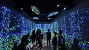 走進阿里山的時間長廊 沉浸式體驗開啟山城旅遊新想像