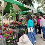 金馬奔騰迎春花卉展 明登場