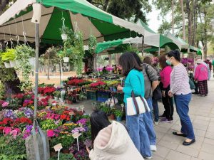 金馬奔騰迎春花卉展 明登場