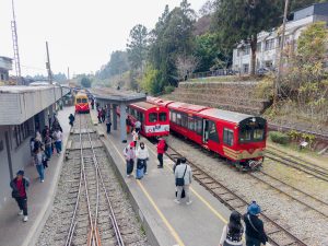 阿里山林鐵3/2實施訂票立即付款新制