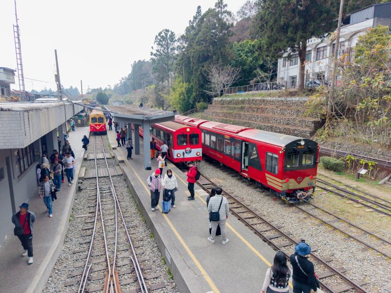 阿里山林鐵3/2實施訂票立即付款新制