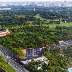 果嶺公園澄清湖 雙綠肺人氣超旺