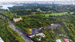 果嶺公園澄清湖 雙綠肺人氣超旺