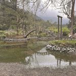 溪頭自然教育園區大學池水幾乎見底