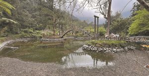 溪頭自然教育園區大學池水幾乎見底