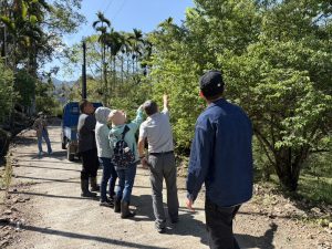 青梅農損救助 即起受理申報