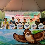 八卦山賞鷹季 具國際競爭力