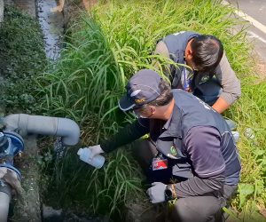 木棉花季到來 東螺溪畜牧專案稽查啟動