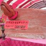 開山廟28,888斤大神龜 豪晟水電擲筊五聖抔抱走