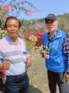 九重葛花道 鹿谷清水溝溪最新興觀光處女地