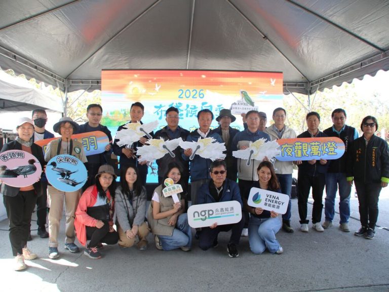 布袋候鳥季登場 千羽齊聚展現國家級濕地風采