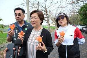 二林木棉花樂遊季 春日裡火熱綻放