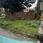 長興國小周邊步道改善工程 啟動