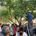 修剪監看人員認證班 歡迎報名