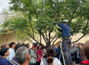 修剪監看人員認證班 歡迎報名