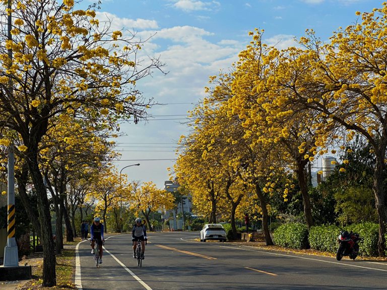 整合公私觀光單位 中台灣行動旅服上線