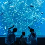 兒童節連假好去處 捐書免費遊海洋館