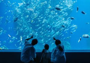 兒童節連假好去處 捐書免費遊海洋館